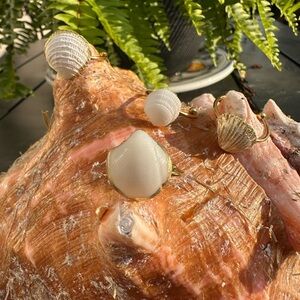 Costal Summer White Seashell Rings Gold Accent